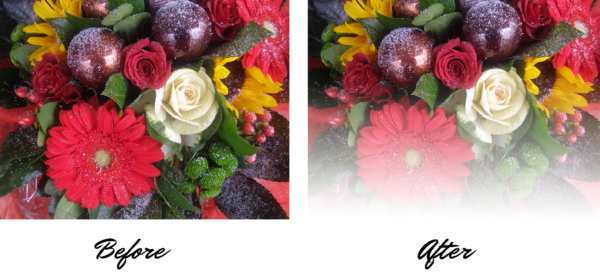 înainte și după imaginile unei decolorări treptate la o fotografie cu flori