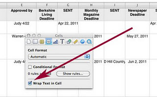 Screenshot of a spreadsheet with a red arrow indicating the box to click to wrap text in cell