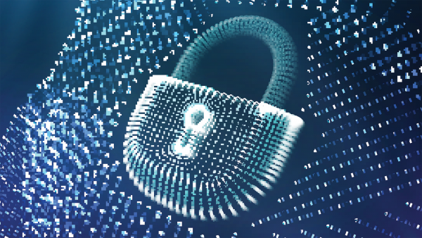 WordPress security