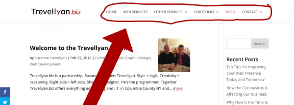 screenshot of the Trevellyan.biz homepage focused on the website main navigation