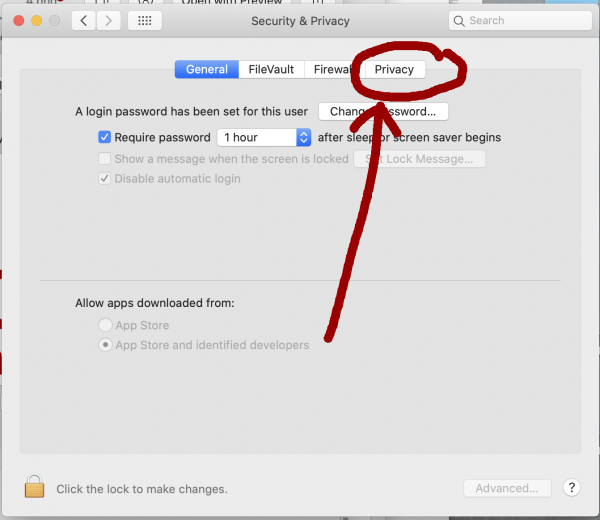 Security and Privacy panel of ]System Preferences opened and Privacy circled