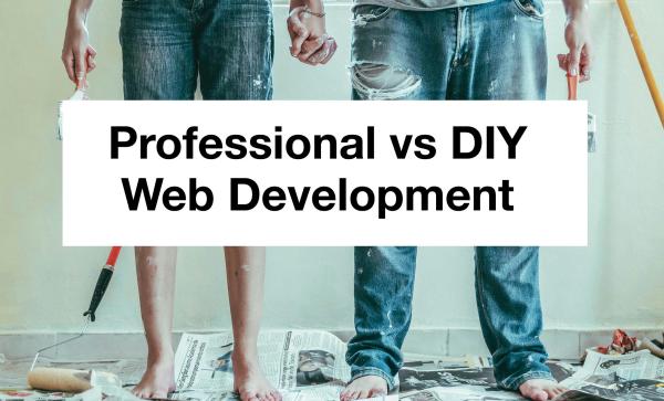 Professional vs DIY web development blog post illustrated by a couple holding hands, wearing DIY house-painting clothing